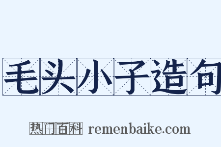 毛头小子造句是什么意思的图片